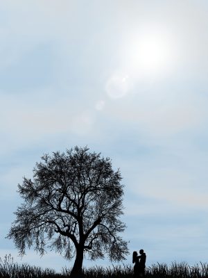 抖漫甜宠恋爱漫画封面，男女主角在樱花树下相视而笑，粉色调温馨浪漫